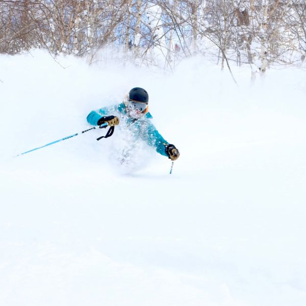 Powder RoadTrip