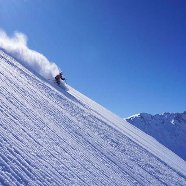 Tarentaise