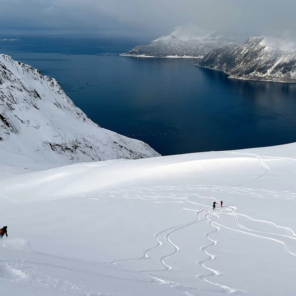 Senja Tour & Roadtrip